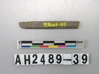 藏品(磨製石針)的圖片